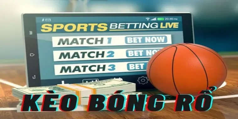 Hướng Dẫn Tìm Hiểu Và Tham Gia Cá Cược Bóng Rổ Tại VINBET Hiệu Quả