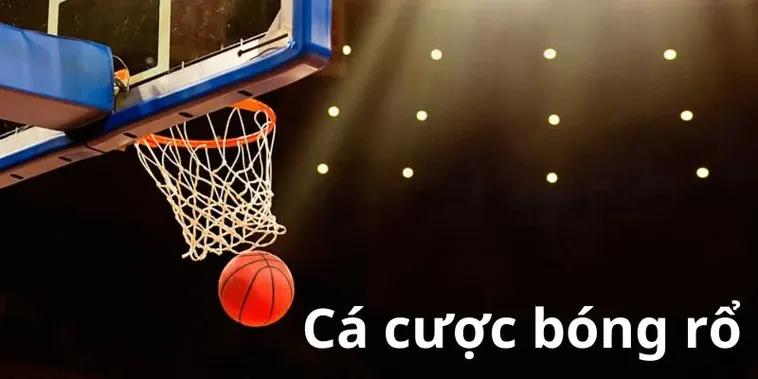 Tham Gia Cá Cược Bóng Rổ ManClub Ngay Hôm Nay